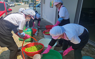 공동체사업단